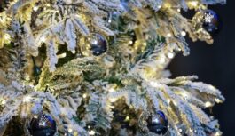 Sinoptiķi atklāj vai Jaunajā gadā sagaidīsim īstu ziemas pasaku: ”Prognozes mainās burtiski pa dienām” Sinoptiķi atklāj vai Jaunajā gadā sagaidīsim īstu ziemas pasaku: ”Prognozes mainās burtiski pa dienām”