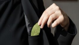 Lieku lauru lapu kabatā un bēdu nezinu: vecmāmiņa iemācīja šo viltību