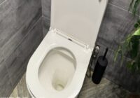 Pieleju tikai divus pilienus pie etiķa, un tualetes pods burtiski spīd: ne miņas no aplikuma vai dzeltenuma