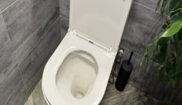 Pieleju tikai divus pilienus pie etiķa, un tualetes pods burtiski spīd: ne miņas no aplikuma vai dzeltenuma