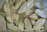 Pēc kaimiņienes ieteikuma lauru lapas tagad tikai saldēju – vienkāršs un noderīgs knifs virtuvē