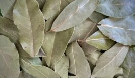 Pēc kaimiņienes ieteikuma lauru lapas tagad tikai saldēju – vienkāršs un noderīgs knifs virtuvē