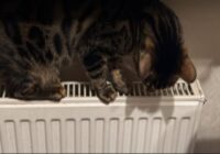 Kāpēc radiatori ir karsti, bet istabā tik un tā vēsi: vienkāršs paņēmiens siltuma atdeves uzlabošanai