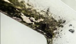 Atrasts pavisam lēts līdzeklis pret pelējumu: notīra melnumus vannasistabā vienas stundas laikā Atrasts pavisam lēts līdzeklis pret pelējumu: notīra melnumus vannasistabā vienas stundas laikā