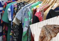 Kā uz visiem laikiem atbrīvoties no kodēm mājoklī: viena ēteriskā eļļa, kas pasargās tavu skapi