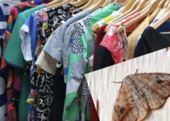 Kā uz visiem laikiem atbrīvoties no kodēm mājoklī: viena ēteriskā eļļa, kas pasargās tavu skapi