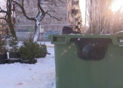 Otrā dzīve svētku eglītei: Kā nodot eglīti pārstrādei un palīdzēt citiem