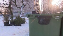 Otrā dzīve svētku eglītei: Kā nodot eglīti pārstrādei un palīdzēt citiem