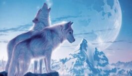 3. janvāris- Vilku Supermēness: laiks likt gada pamatus