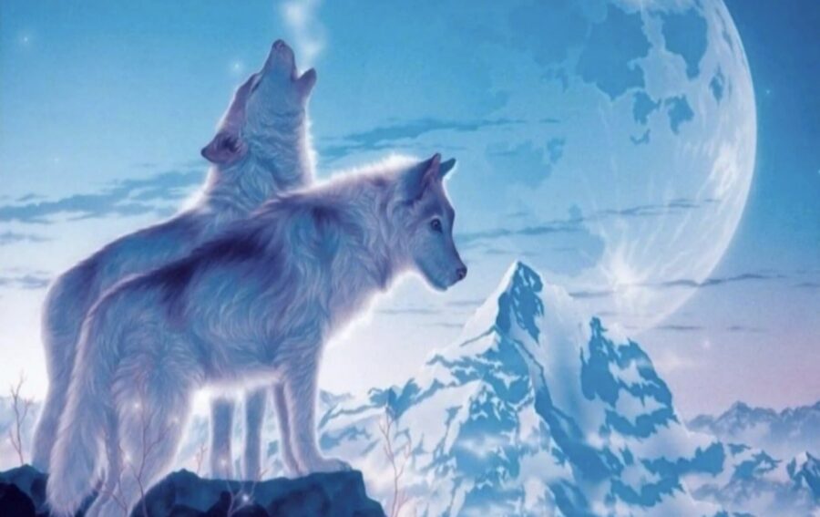 3. janvāris- Vilku Supermēness: laiks likt gada pamatus