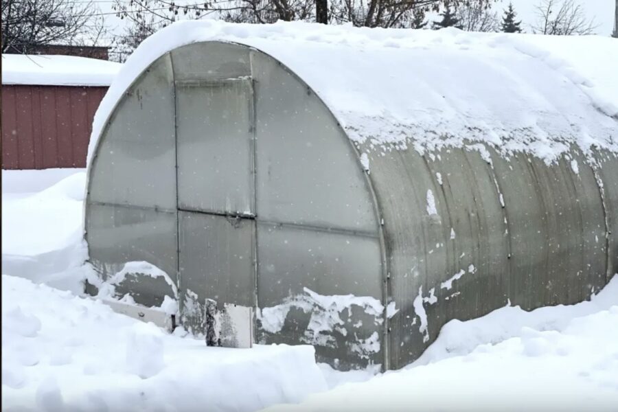 Kā kopt siltumnīcu ziemā: 4 kļūdas darbā ar sniegu, kas mazina augsnes auglību – kūstošā ūdens ietekme, ko vērts zināt