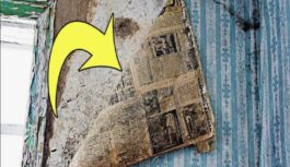 Kāpēc senāk zem tapetēm līmēja avīzes: tas nebija trūkums, bet gudrs risinājums, ko mūsdienās piemirstam