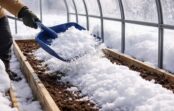 Tukša siltumnīca ziemā nav jāpamet novārtā: kāpēc tieši tagad tajā ir vērts samest sniegu