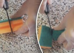 Kāpēc ziemā trauku mazgājamo sūkli lietderīgi pārgriezt uz pusēm: praktisks ieradums svaigākai virtuvei