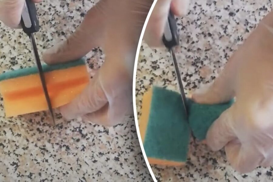 Kāpēc ziemā trauku mazgājamo sūkli lietderīgi pārgriezt uz pusēm: praktisks ieradums svaigākai virtuvei