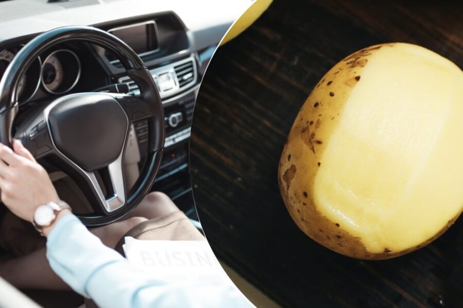 “Vairs nekādas skrāpēšanas”: lūk, kāpēc pieredzējuši šoferi ziemā vienmēr tur kartupeli savā automašīnā