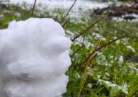 Dabas zīmju vērotājs atklāj, ka daba pati jau ir parādījusi kāds būs pavasaris: ”Ilgi nav jāgaida” Dabas zīmju vērotājs atklāj, ka daba pati jau ir parādījusi kāds būs pavasaris: ”Ilgi nav jāgaida”