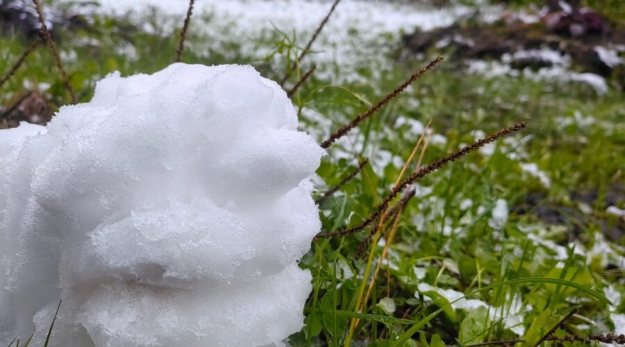 Dabas zīmju vērotājs atklāj, ka daba pati jau ir parādījusi kāds būs pavasaris: ”Ilgi nav jāgaida”