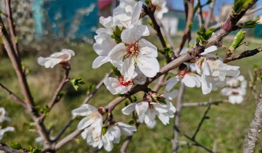Vai tiešām karstuma viļņi gaidāmi 2026. gada februārī: precīzās laika prognozes galvenie punkti