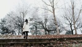 Mežonīgs sals atgriezīsies: meteorologi atklāj prognozi tuvākajām nedēļām un aukstuma kulmināciju