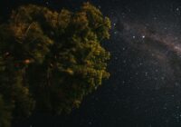 Astroloģes prognoze 2026. gadam: ”Zināms, kad būs svarīgākais politiskais notikums Latvijā”