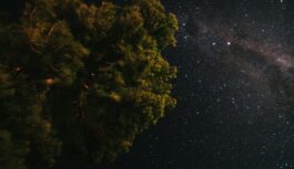 Astroloģes prognoze 2026. gadam: ”Zināms, kad būs svarīgākais politiskais notikums Latvijā”