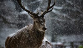 Februāris solās būt mainīgs: sinoptiķi brīdina par krasām laikapstākļu svārstībām pat dažu stundu laikā