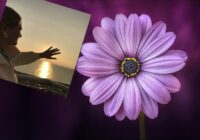 Zvaigžņu labvēlība: Tamāra Globa nosaukusi horoskopa zīmes, kurām 2026. gadā piepildīsies sen kārotas ieceres