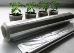 “Biezu” dēstu noslēpums ir vienkāršs: kāpēc pie loga janvārī jānovieto pārtikas folija