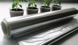 “Biezu” dēstu noslēpums ir vienkāršs: kāpēc pie loga janvārī jānovieto pārtikas folija