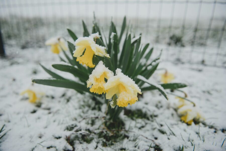 Marts un galvenās klimata intrigas: sinoptiķi atklāj jaunāko prognozi par pavasara atnākšanu