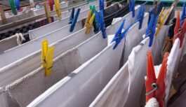 3 karotes uz bļodu – un baltas drēbes būs tīrākas par sniegu: pat pelēcīga “lupata” iemirdzēsies baltumā