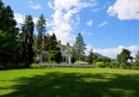 Sūnas vairs neaugs zālienā, ja ziemā uz zāles uzlies 1 virtuves sastāvdaļu Sūnas vairs neaugs zālienā, ja ziemā uz zāles uzlies 1 virtuves sastāvdaļu