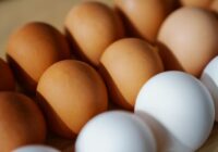 Kāda patiesībā ir atšķirība starp baltajām un brūnajām olām: viss slēpjas vienā pavisam parastā niansē