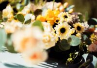 Augi, kas jāapgriež jau janvārī, lai dārzs krāšņi ziedētu visu vasaru