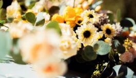 Augi, kas jāapgriež jau janvārī, lai dārzs krāšņi ziedētu visu vasaru