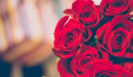 Dārzkopības eksperti nosauc augus, kurus janvārī nepieciešams apgriezt, lai nodrošinātu labāku augšanu un attīstību Dārzkopības eksperti nosauc augus, kurus janvārī nepieciešams apgriezt, lai nodrošinātu labāku augšanu un attīstību