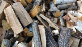 “Skatos uz malkas kaudzi un paliek neomulīgi”: kāpēc sals iztukšo šķūņus un kurināmā cenas vairs nav joks