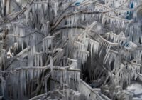 Kad nokusīs sniegs un sāks ziedēt sniegpulkstenīši  – klimatologs sniedz prognozi 2026. gadam