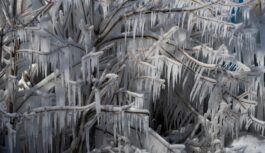 Kad nokusīs sniegs un sāks ziedēt sniegpulkstenīši  – klimatologs sniedz prognozi 2026. gadam