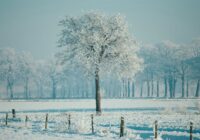 Sibīrijas aukstuma vilnis pārņems Eiropu, arī Latviju: zināms no kura datuma jāgatavojas spēcīgam stindzenim