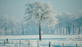Sibīrijas aukstuma vilnis pārņems Eiropu, arī Latviju: zināms no kura datuma jāgatavojas spēcīgam stindzenim