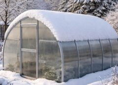 Ko dārzā var izdarīt jau tagad, lai pavasarī būtu vieglāk