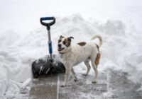 Tīru sniegu bez piepūles: pie lāpstas nekas nelīp, ja to ieziež ar pareizo šķīdumu — viss notiek viegli un ātri
