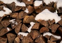 “Tā darīt ir nepareizi!” skursteņslauķis Andris neslēpj bažas, ieraugot, ar kādu malku cilvēki mēģina piesildīt mājokļus