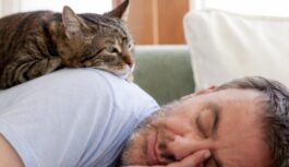 Vai kaķis saprot, ka jūs guļat? Pētnieki atklāj, kā mīlulis mūs nolasa nakts laikā Vai kaķis saprot, ka jūs guļat? Pētnieki atklāj, kā mīlulis mūs nolasa nakts laikā