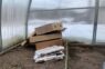Kāpēc gudri dārznieki ziemā neizmet kartona kastes: neierasts veids, kā pasargāt siltumnīcu no kaitēm
