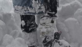 Cik daudz sniega dārzā un ko saka dabas zīmes: pazīmes, kas liecina par agru pavasari Cik daudz sniega dārzā un ko saka dabas zīmes: pazīmes, kas liecina par agru pavasari