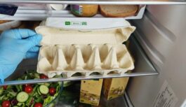 Lieku ledusskapī tukšu olu kasti – pastāstīšu kāpēc Lieku ledusskapī tukšu olu kasti – pastāstīšu kāpēc