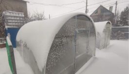 Polikarbonāta siltumnīca ir pagātne; nākusi klajā izturīgāka, bez plaisām, putekļiem un netīrumu svītrām